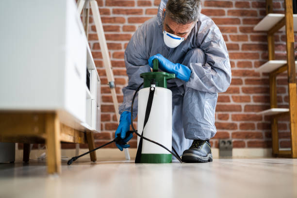 Best Pest Exclusion Services  in Charter Oak, CA